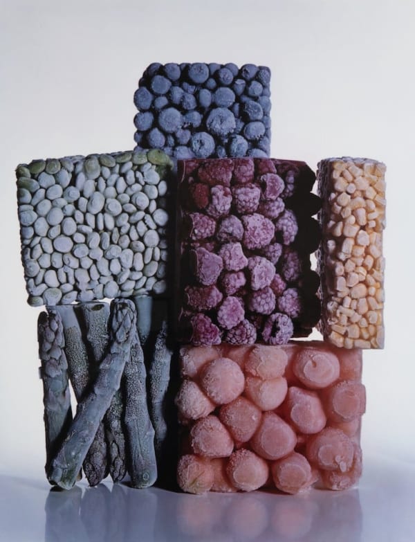 Irving Penn, Frozen foods, New York, 1977