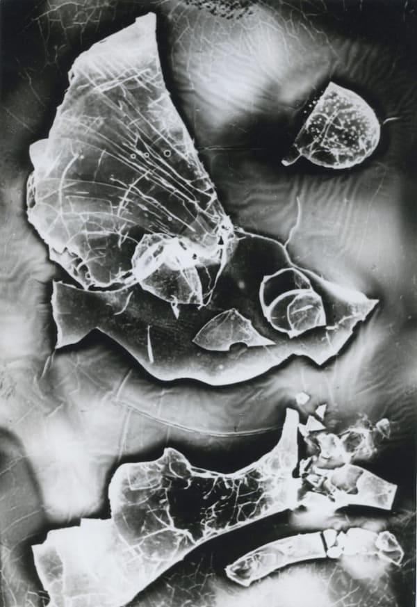 Heinz Hajek-Halke, Das diluviale Aquarium, 1956