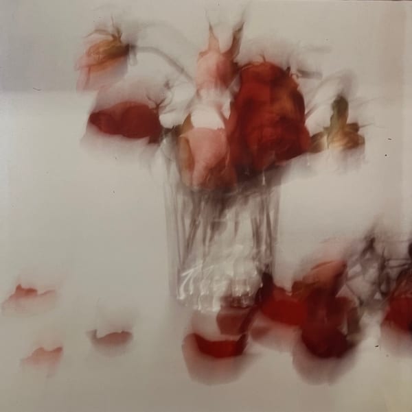 Toni Catany, Natura Morta, 1979