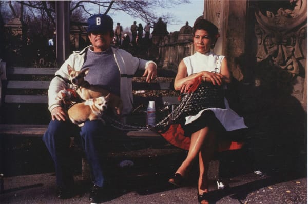 Arlene Gottfried Chihuahuas, Central Park Cibachrome, tirage d'époque réalisé par David Gray Dim. papier: 28 x 35,5 cm