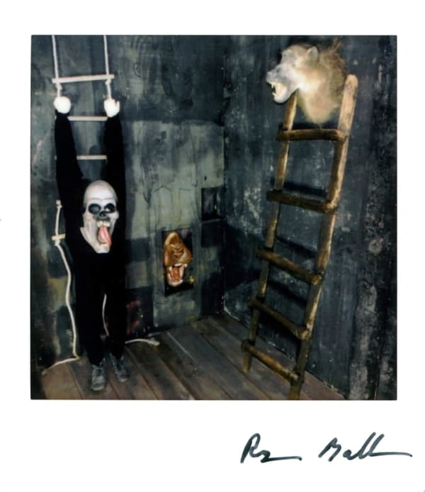 Roger Ballen, Polaroid #23, 2022