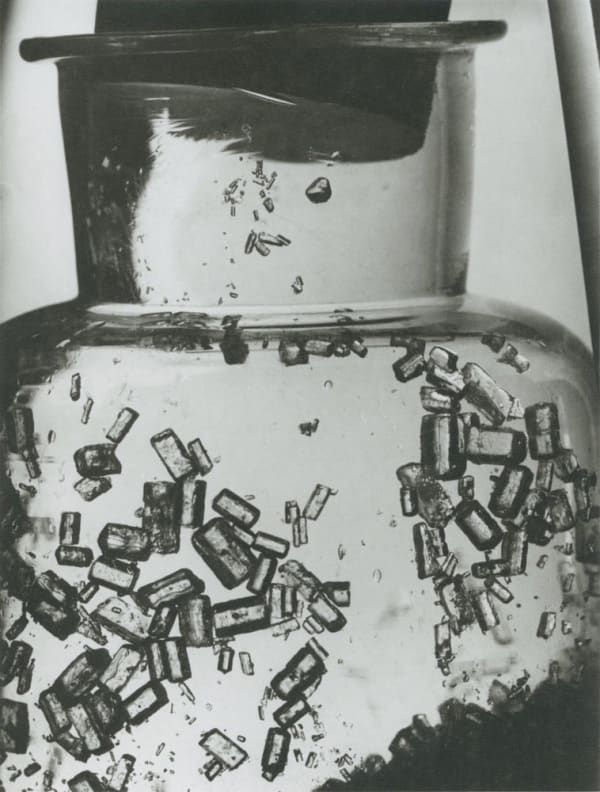 Willy Zielke, Crystaux de sel fixatif, 1929
