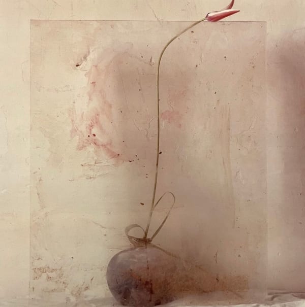Toni Catany, Natura Morta n°110, 1986