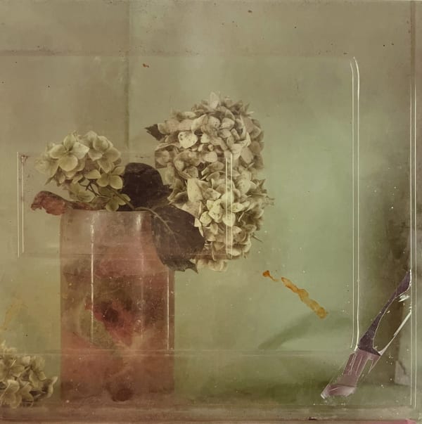 Toni Catany, Natura Morta n°92, 1985
