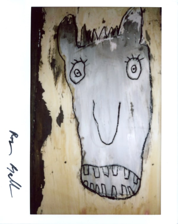 Roger Ballen, Polaroid #8, 2021