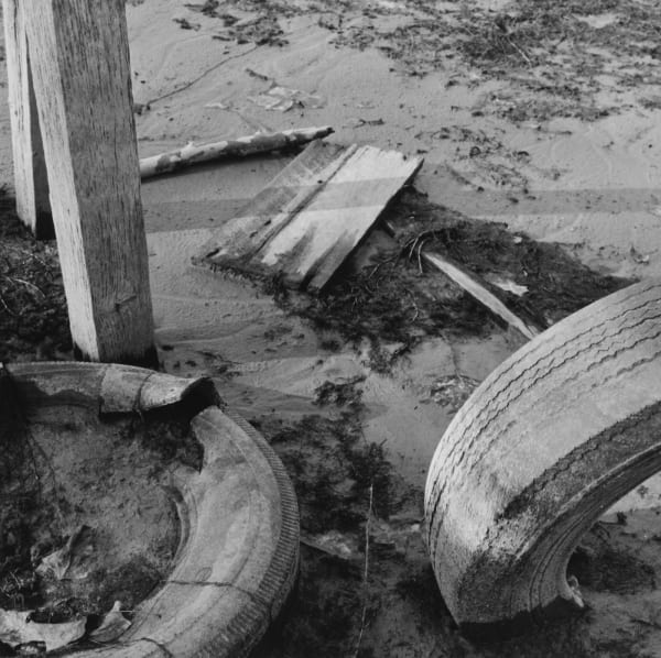 Steven Rifkin Untitled, Lake Lemon, IN Tirage gélatino-argentique 17,8 x 17,8 cm Dim. papier: 20,3 x 25 cm