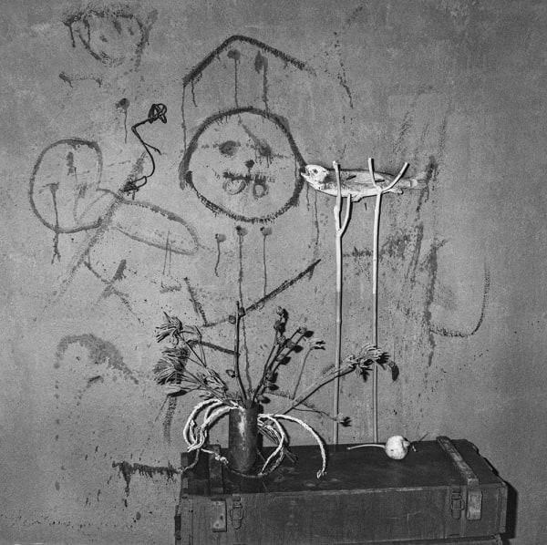 Roger Ballen, Staked, 2004