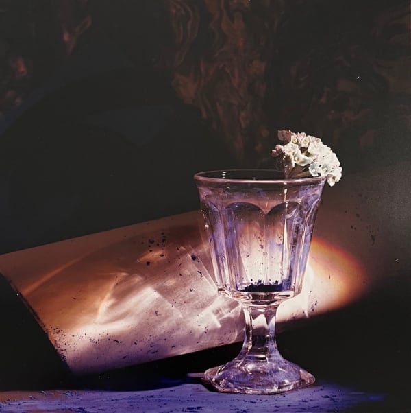 Toni Catany, Natura Morta, 1983