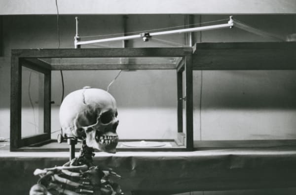 Hervé Guibert Musée de l'Homme, Paris Tirage gélatino-argentique d'époque 15,7 x 23,5 cm Dim. papier: 15,7 x 23,5 cm
