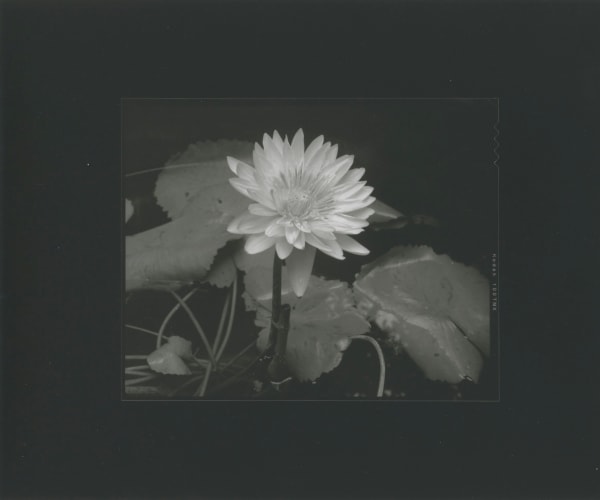 Bogdan Konopka, Songshan, Henan, 24.09.2016