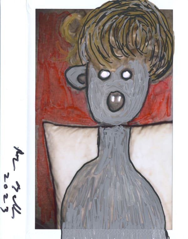 Roger Ballen, Polaroid #32, 2023