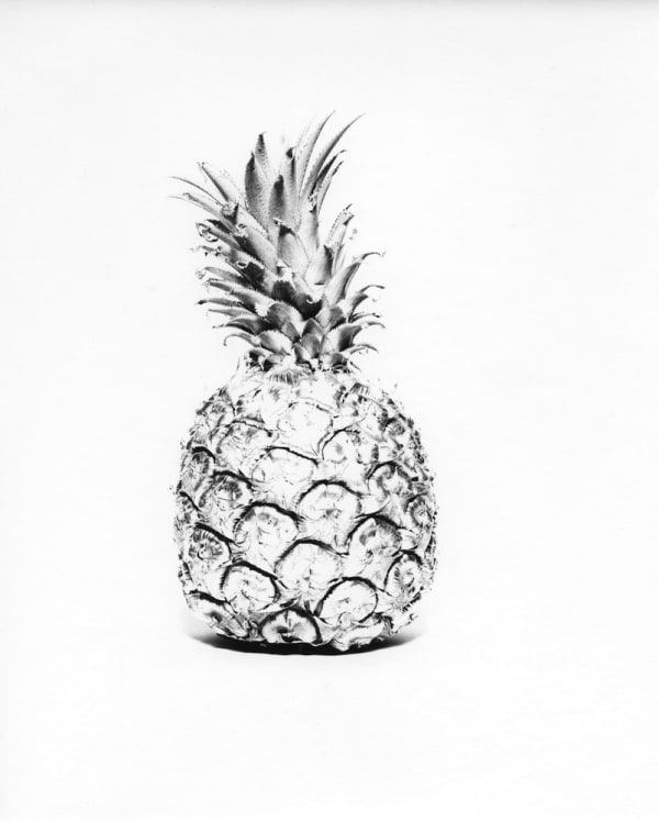 Ray K. Metzker, Untitled (pineapple), 1967