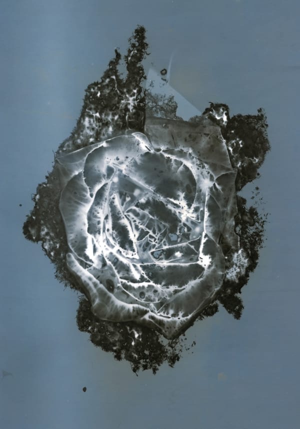 Thierry Balanger, Fleurs cassées #12, 2000