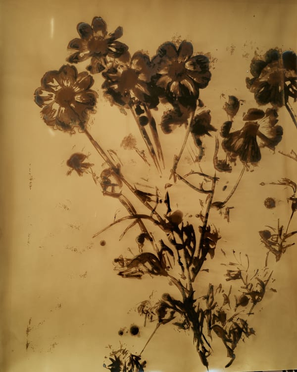 Fleurs cassées