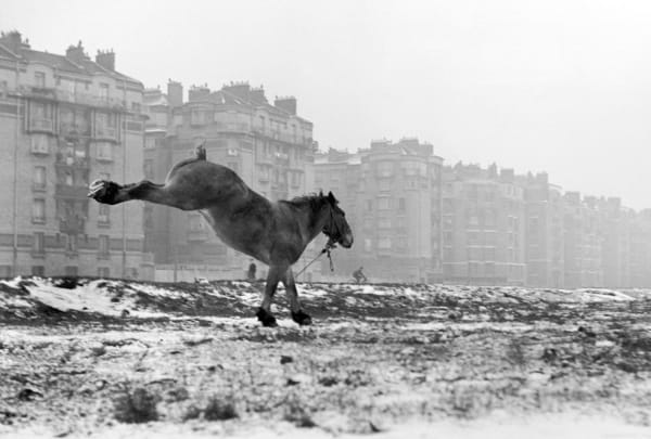 Sabine Weiss Porte de Vanves, Paris Tirage gélatino-argentique postérieur 27,5 x 37,8 cm Dim. papier: 30 x 40 cm