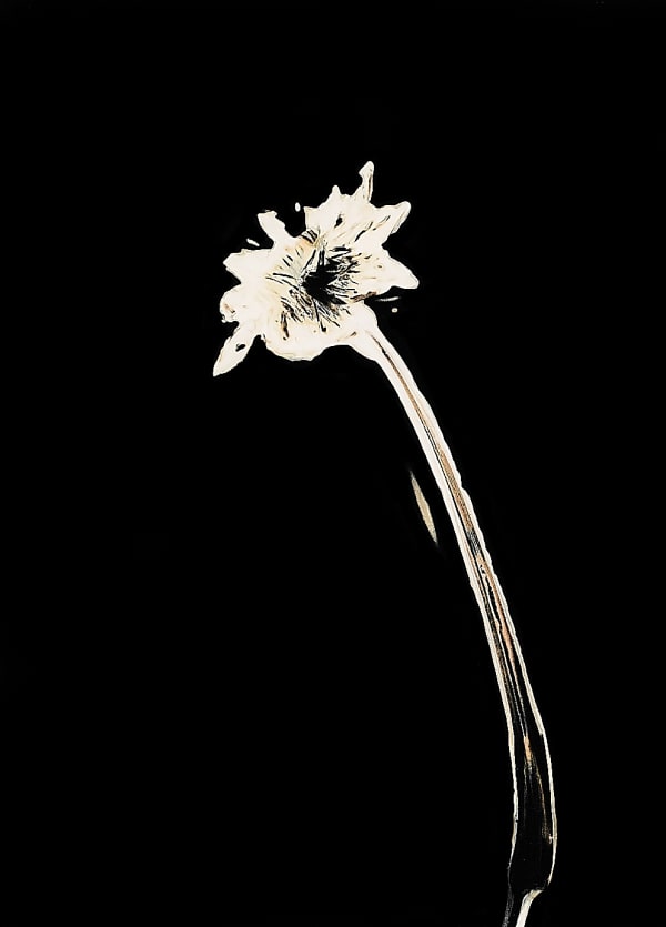 Thierry Balanger, Fleurs cassées #6, 2021