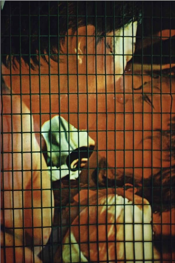 Ernst Haas USA Tirage chromogène posthume Dim. papier: 50 x 76 cm