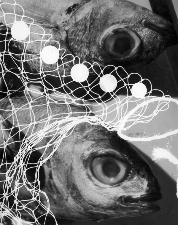 André Papillon, Sans titre (surimpression), c.1935