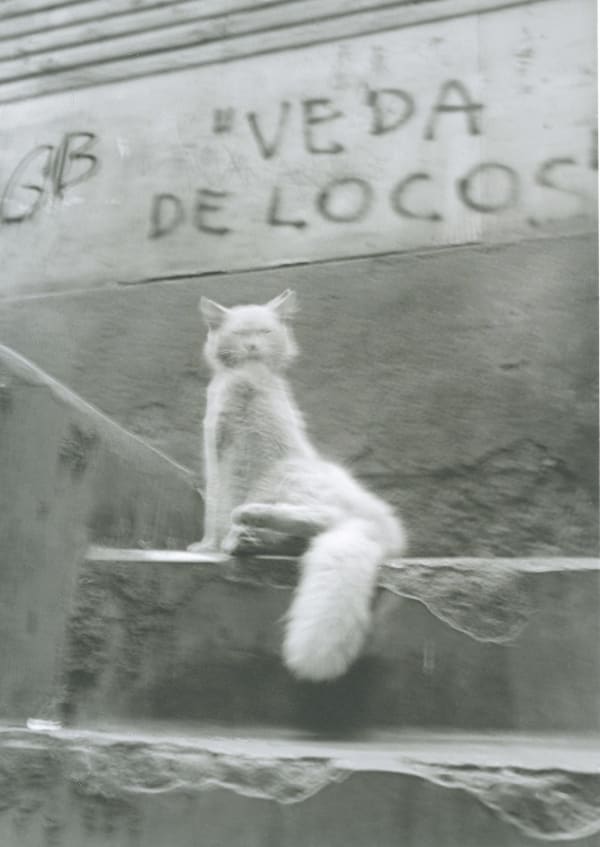 Philippe Séclier, Valparaiso #9, 2000