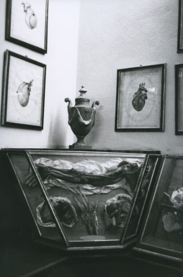 Hervé Guibert La Specola, Florence Tirage gélatino-argentique d'époque 15,5 x 23,5 cm Dim. papier: 15,5 x 23,5 cm