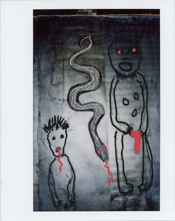 Roger Ballen, Polaroid #22, 2023-2024