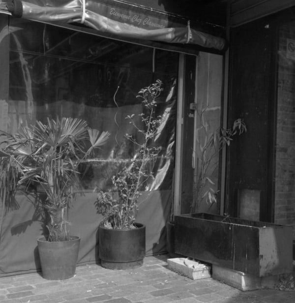 Thomas Boivin, Café, Belleville, 2016