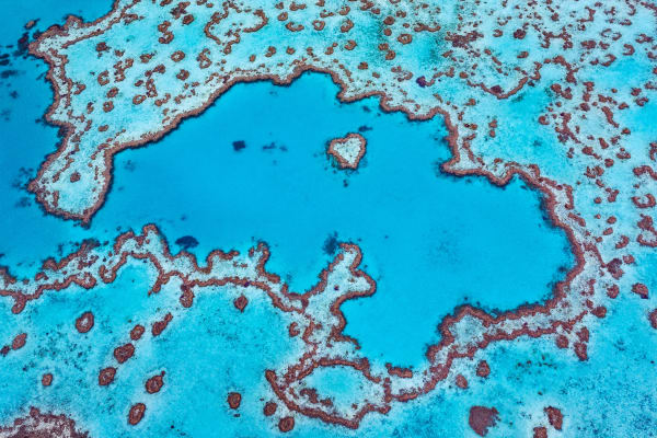 Heart Reef