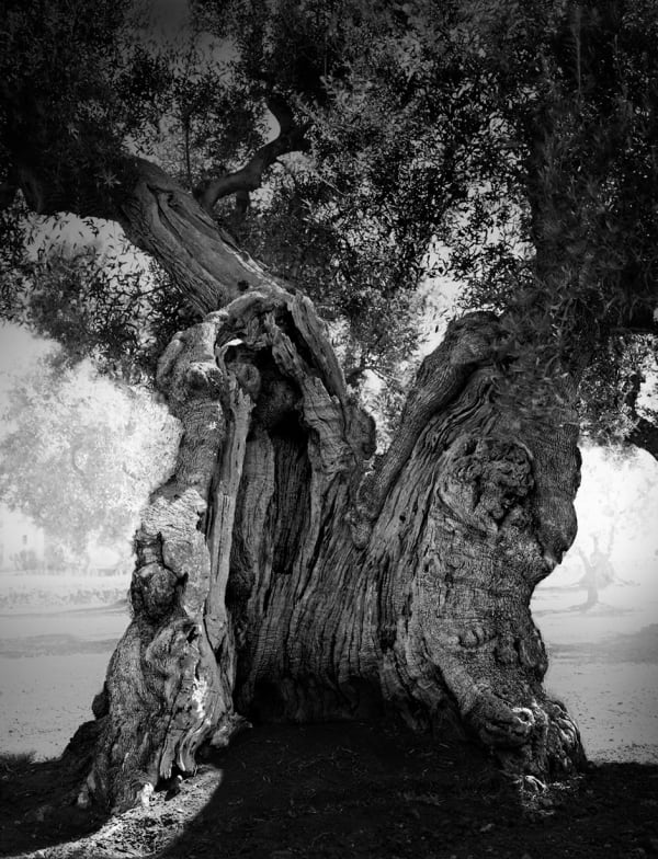 Hollow, Puglia Italy