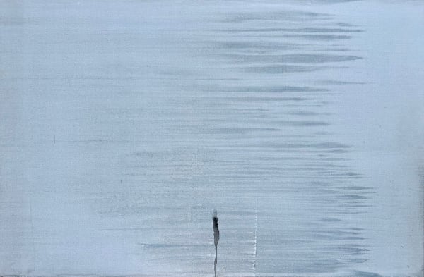 The Ghost of Shadow and Reflection