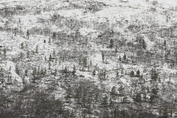 Snow and rain shall pass