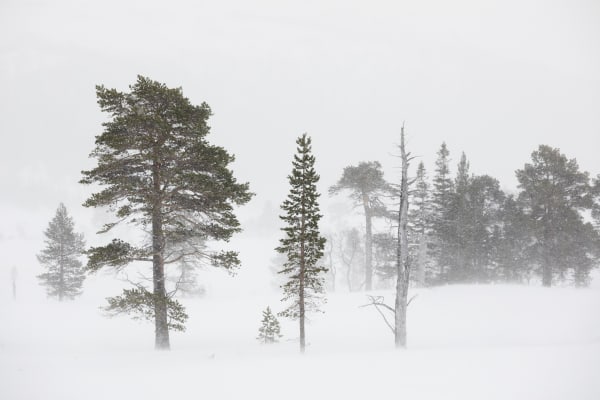 Snow and rain shall pass