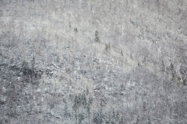 Snow and rain shall pass