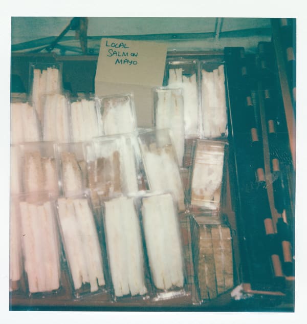 Joel Peter Levack, Fish of the Day, 2024