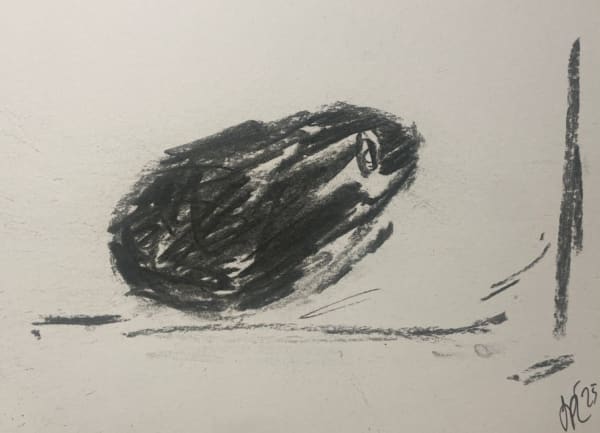 Joel Peter Levack, Avo 4, 2025