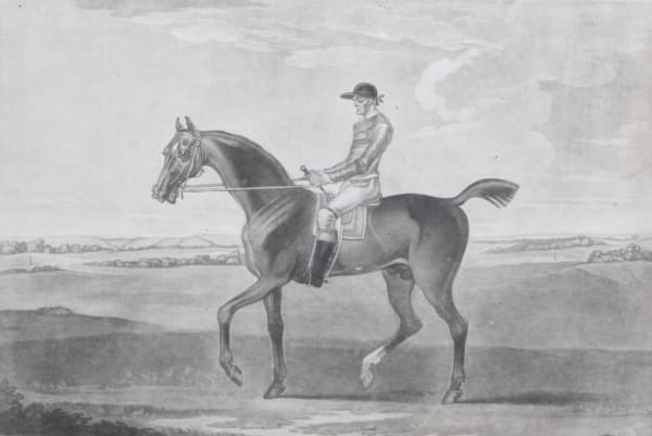Thomas Burford, Mr Lamego's chestnut horse Little Driver