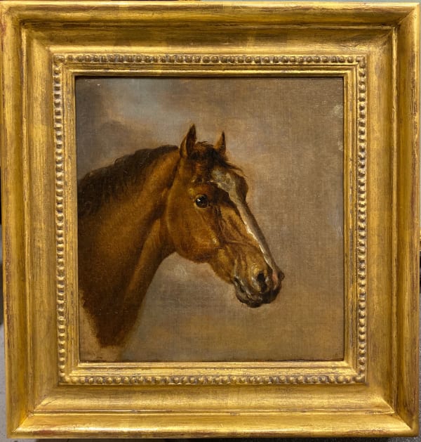 Ben Marshall, Head of a bay thoroughbred