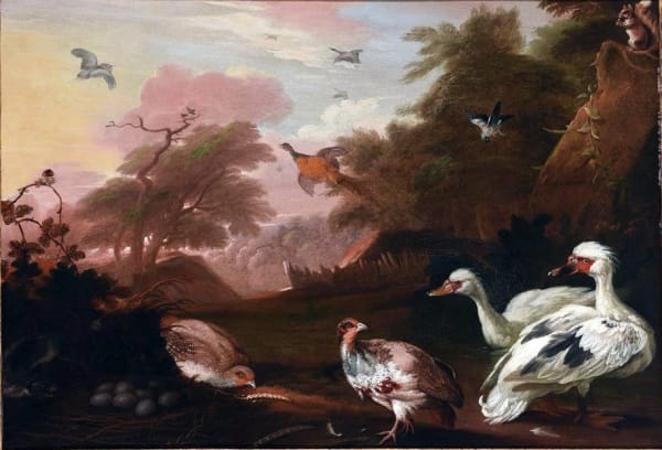 Marmaduke Cradock, Birds and red squirrel in a landscape, c1710