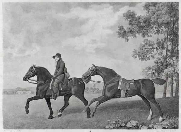 George Stubbs, Two hacks