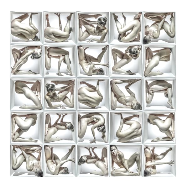 Jeff Robb, Unnatural Causes XV