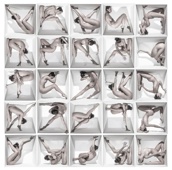 Jeff Robb, Unnatural Causes XVII