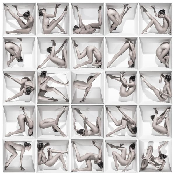 Jeff Robb, Unnatural Causes XVIII