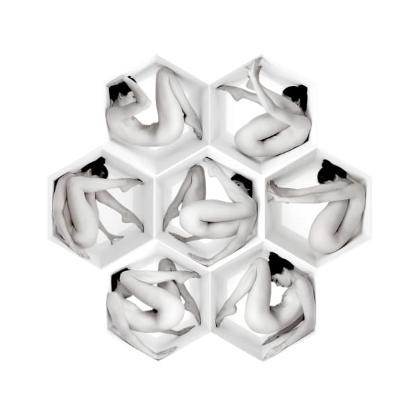 Jeff Robb, Unnatural Causes II