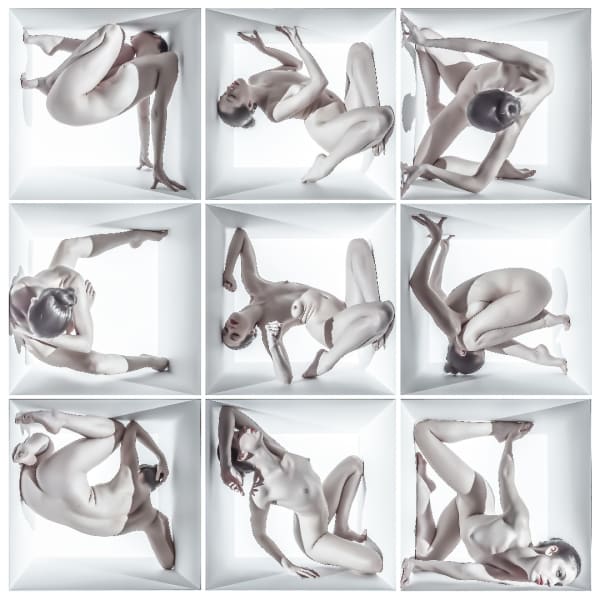 Jeff Robb, Unnatural Causes XXVII