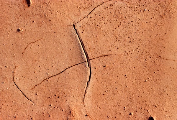 Approche de la parole #1