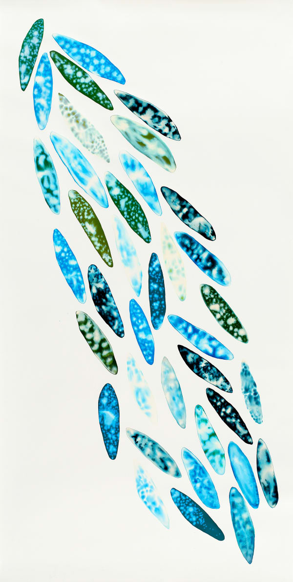 Fakhri El Ghezal, Migration 1, 2O24