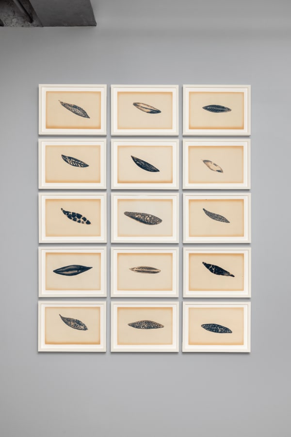 Fakhri El Ghezal, Feuilles B, 2023