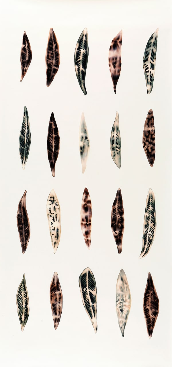 Fakhri El Ghezal, Fossiles 2 , 2024