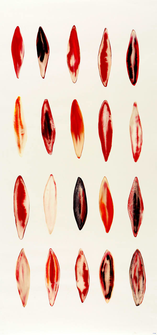 Fakhri El Ghezal, Fossiles 5, 2024