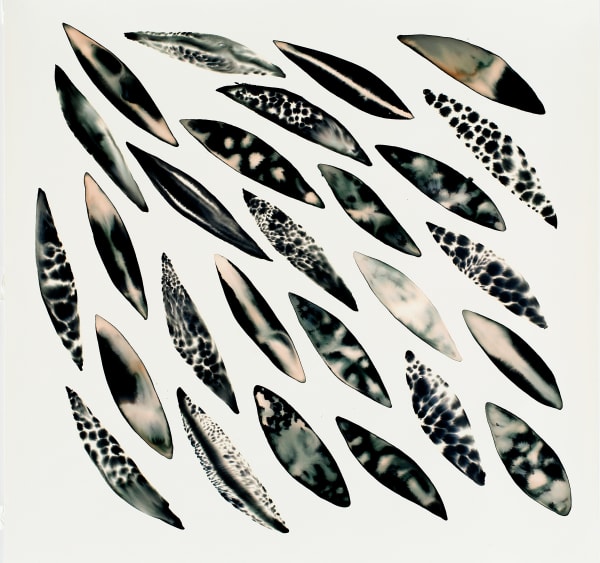 Fakhri El Ghezal, Migration 4, 2023