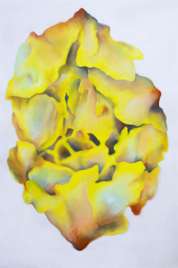 Camille Pradon, Assemblage [refuge] #2, 2024